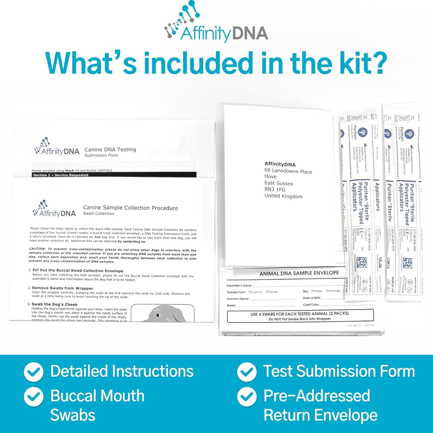 AffinityDNA Dog Exercise Induced Collapse (EIC) DNA Test | Home Sample Collection Kit for 1 Canine | EIC Testing for Your Puppy