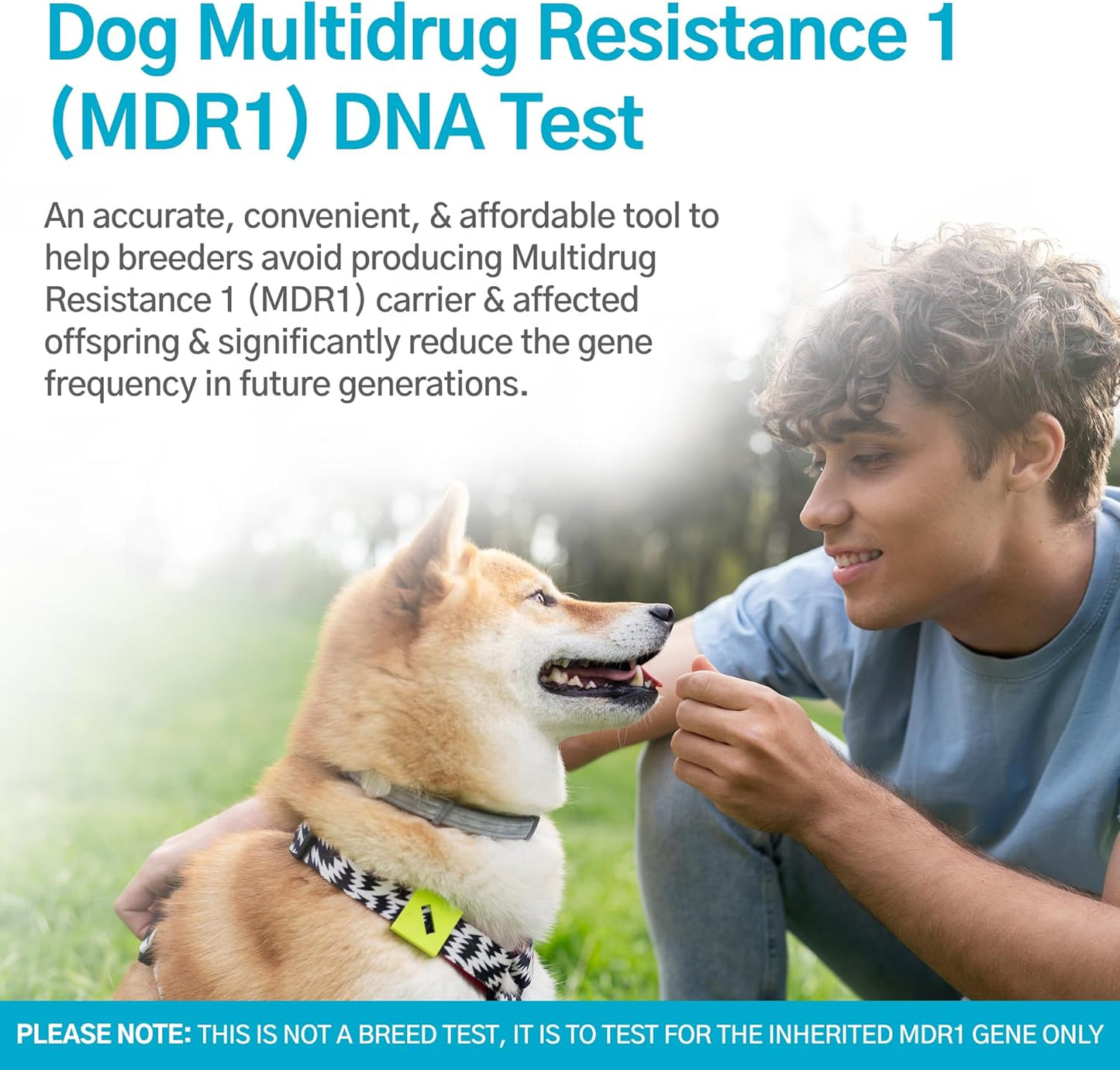 AffinityDNA Dog Multidrug Resistance 1 (MDR1) DNA Test Kit | Home Sample Collection Kit for 1 Canine