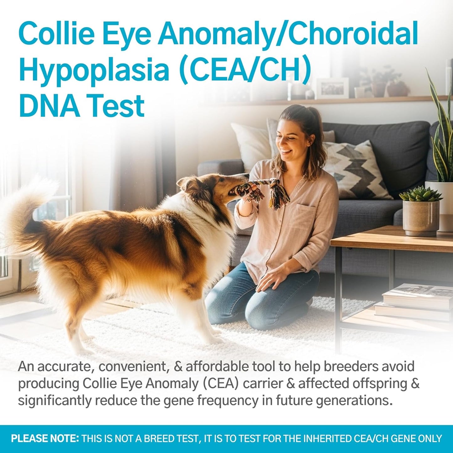 AffinityDNA Dog Collie Eye Anomaly Choroidal Hypoplasia (CEA/CH) DNA Test |