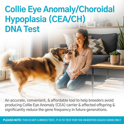 AffinityDNA Dog Collie Eye Anomaly Choroidal Hypoplasia (CEA/CH) DNA Test |