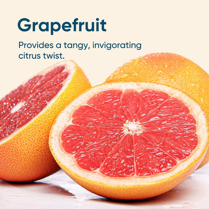 Venture Pal Sugar Free Electrolyte Powder Packets