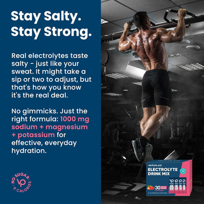 Venture Pal High Sodium Sugar Free Electrolytes Powder Packet, Vegan, Keto & Paleo Friendly Electrolyte Drink Mix - 30 Sticks