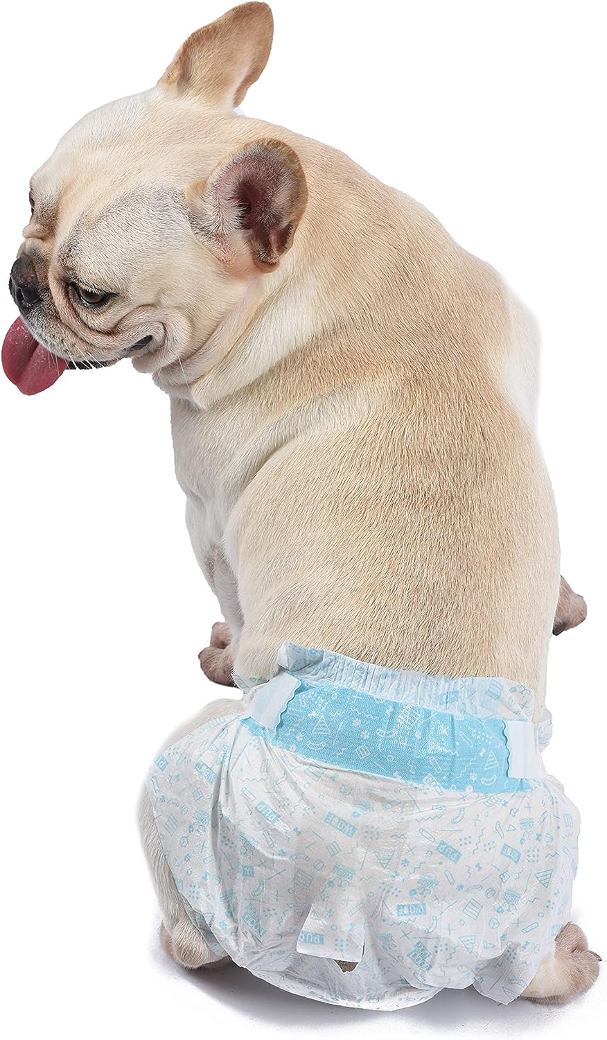 Wags & Wiggles Female Dog Diapers | Doggie Diapers for Female Dogs | Small Dog Diapers, 15"-19" Waist - 12 Pack | Disposable Dog Diapers for Female Dogs