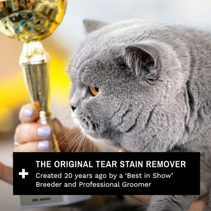 Eye Envy Cat Tear Stain Remover Starter Kit with ProPowder Brush,MADE IN USA