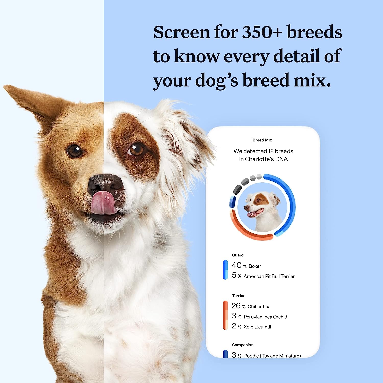 Dog breed sales identifier test