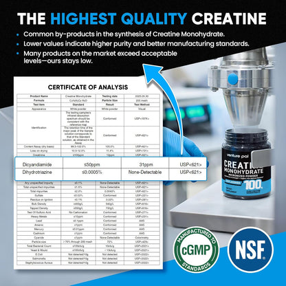 Venture Pal 100% Pure Micronized Creatine Monohydrate Powder, Unflavored Creatine for Women & Men, Vegan, Keto, Gluten Free, 5 g (5000mg)