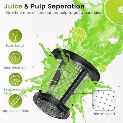 Keenray Cold Press Juicer, Masticating Juicer Machines, Celery Juicer with Quiet Motor Reverse Function, High Juice Yield Slow Juice Extractor for Vegetable and Fruit, Black, EL20