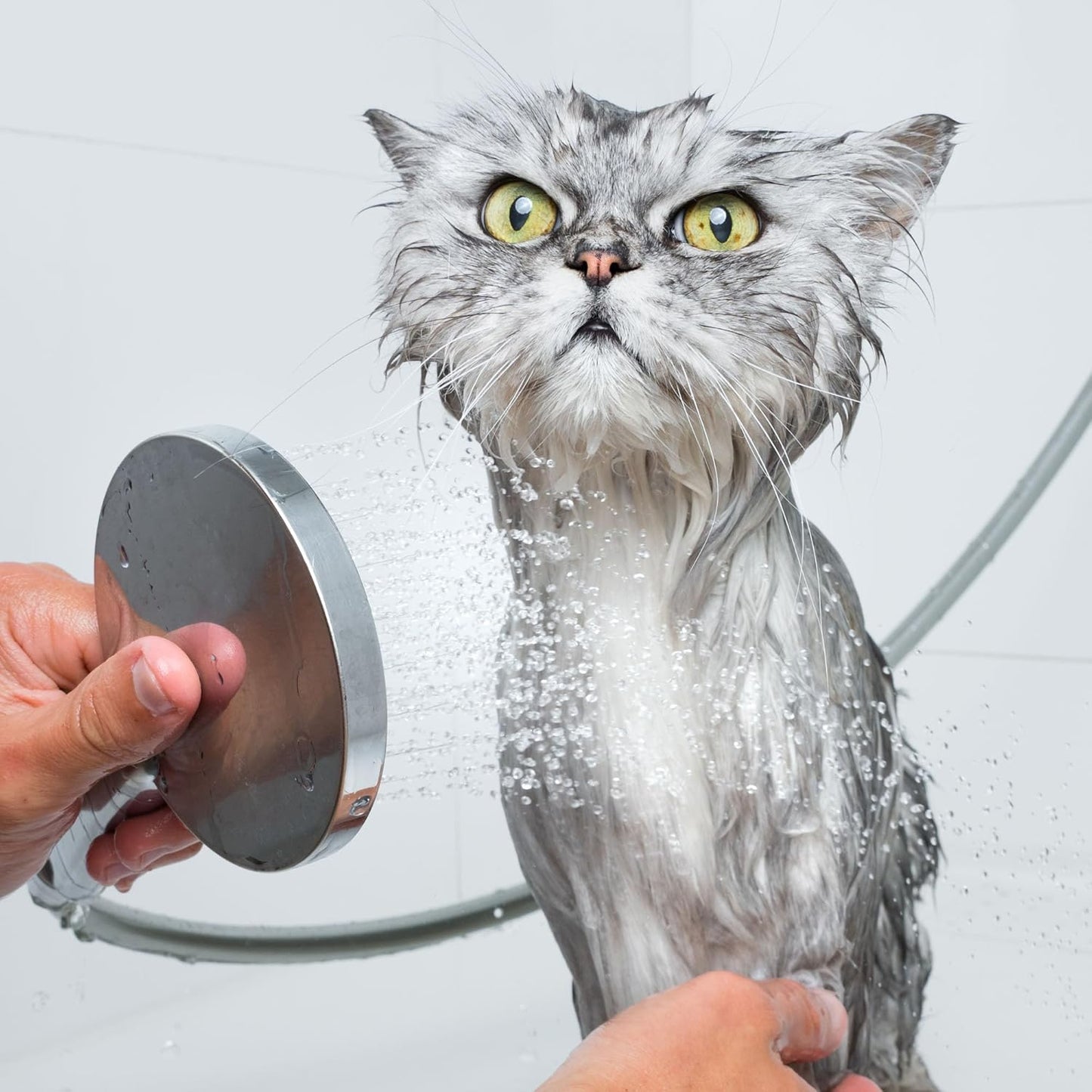 Eye Envy Moisturizing Pet Shampoo. Cleans, softens, adds Shine. Fragrance Free. Detergent Free. Gentle for Everyday use. Glycerin enriched. Safe for Puppies and Kittens. 16oz