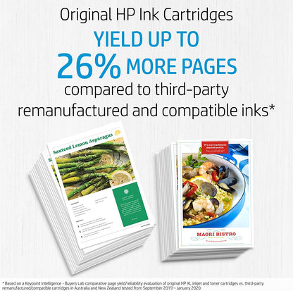 HP 65XL Genuine Original Black Ink Printer Cartridge works with HP Deskjet 2600, 3700, Advantage 5000 Series, HP Envy 5000 Series