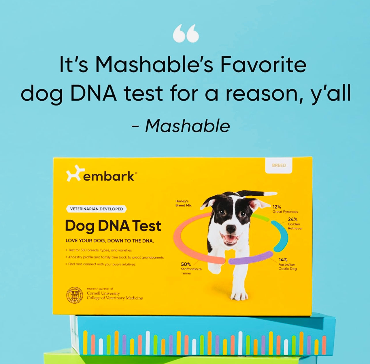 Embark Dog DNA Test Kit | Breed & Genetic Ancestry Discovery | At-Home ...