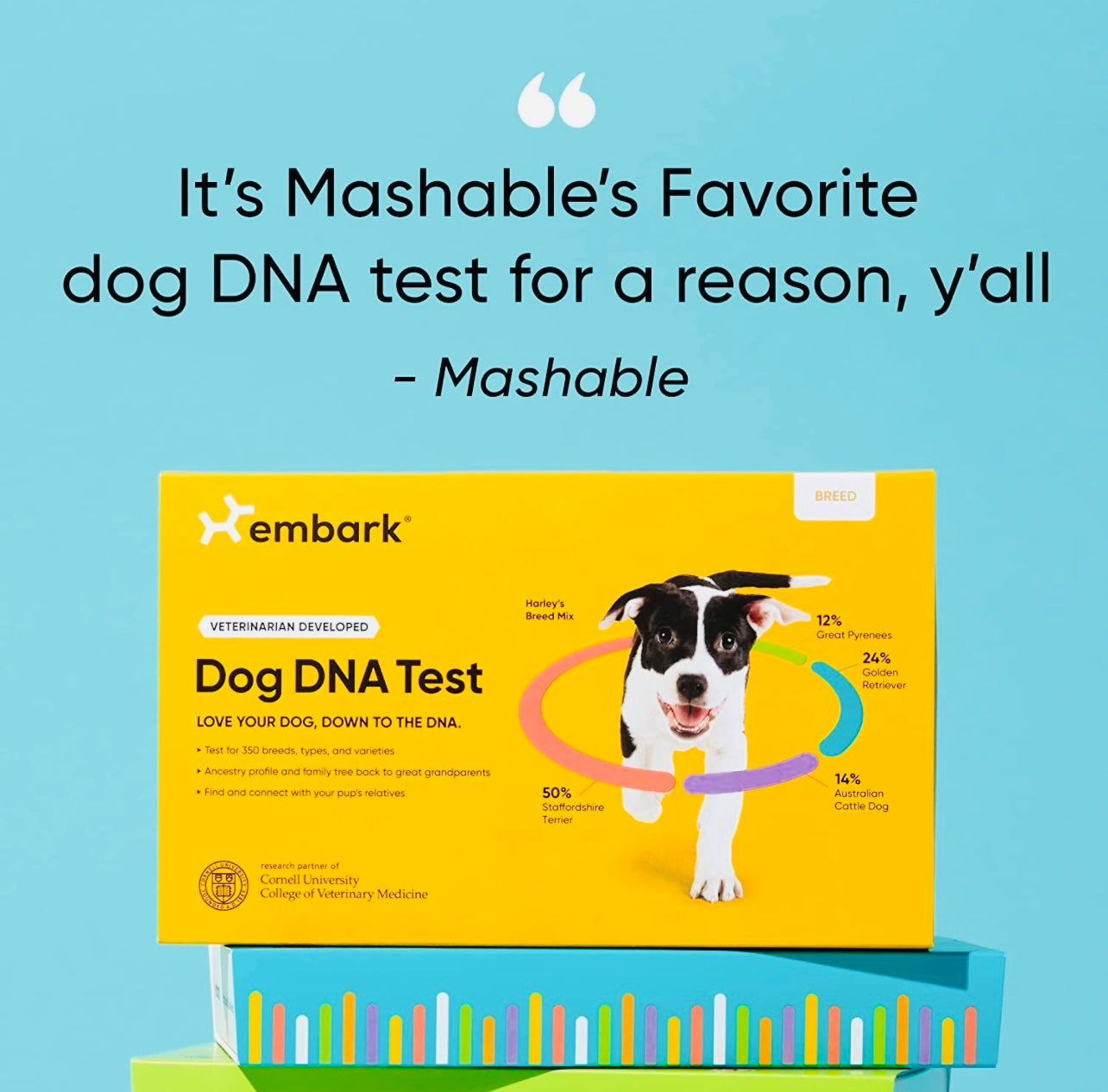 Embark Dog DNA Test Kit | Breed & Genetic Ancestry Discovery | at-Home Cheek Swab