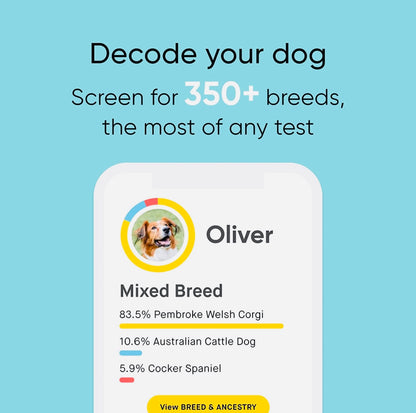 Embark | Dog DNA Test | Breed Identification | 160 Health Results | 200K Genetic Markers