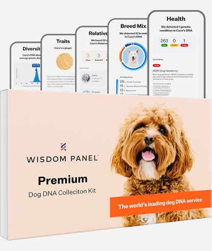 Wisdom Panel Premium: Most Comprehensive Dog DNA Test for 260+ Health Tests | Accurate Breed ID and Ancestry | Traits | Relatives | Genetic Diversity | Vet Consult