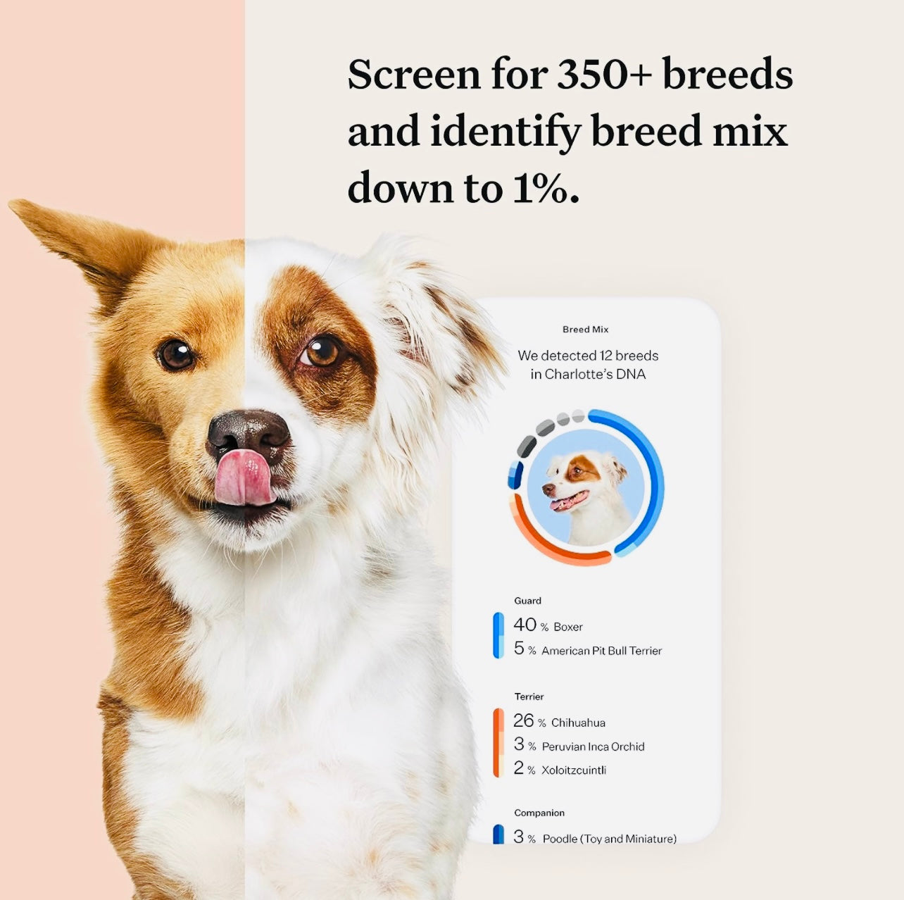 Wisdom Panel Premium: Most Comprehensive Dog DNA Test for 260+ Health Tests | Accurate Breed ID and Ancestry | Traits | Relatives | Genetic Diversity | Vet Consult