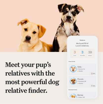 Wisdom Panel Premium: Most Comprehensive Dog DNA Test for 260+ Health Tests | Accurate Breed ID and Ancestry | Traits | Relatives | Genetic Diversity | Vet Consult