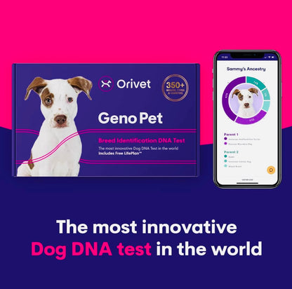 Orivet Genopet Dog DNA Test | Dog Breed Test Kit, Genetic Testing, Heritable Health Risks and Life Plan