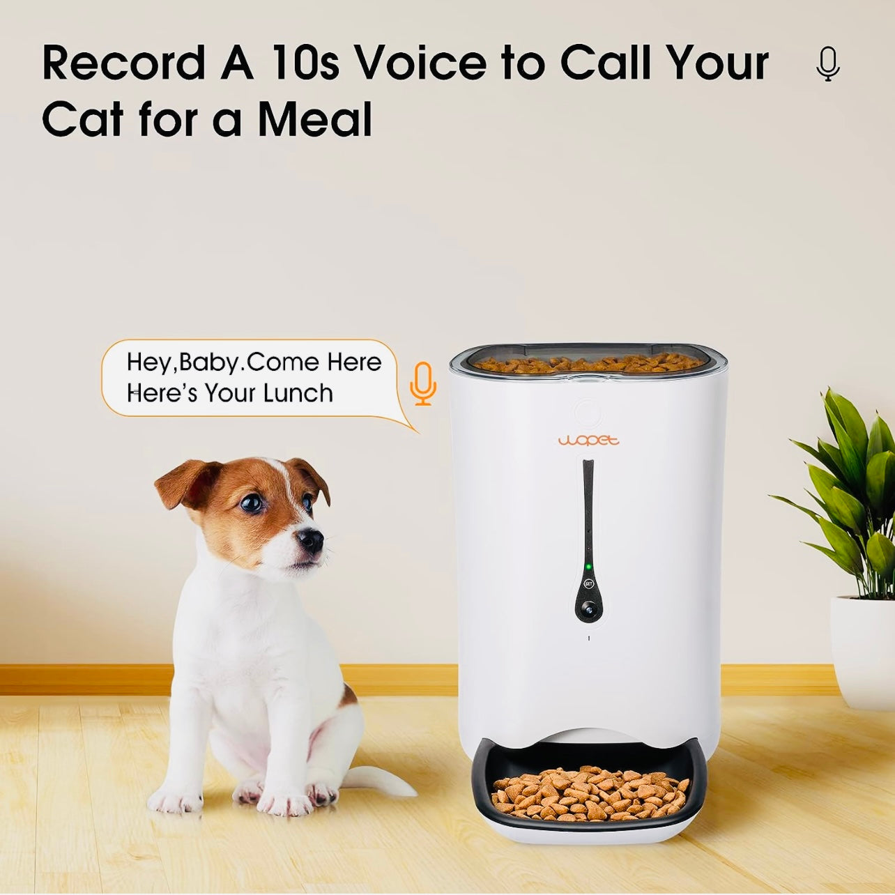 WOPET Automatic Cat Feeder with Camera,7L App Control Smart Feeder Cat Dog Food Dispenser,6-Meal Auto Pet Feeder with Timer Programmable,HD Camera for Voice and Video Recording