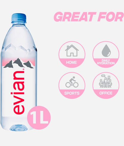 Evian Natural Mineral Water, 12 x 1L
