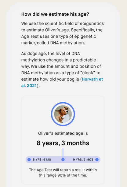 Emberk Dog age test ,accurate age result