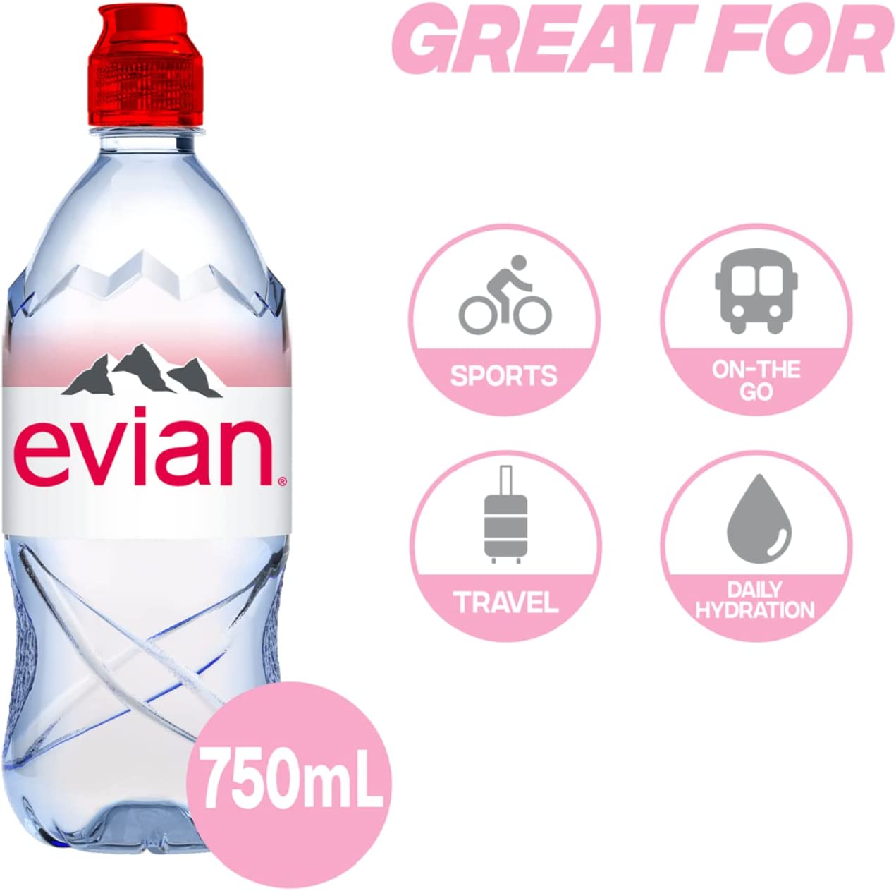 Evian Natural Mineral Water (12 pack) 750 ML